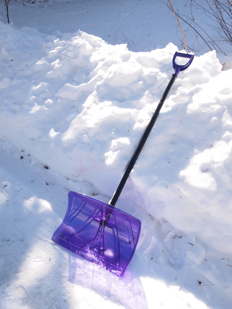 A Snow Shovel